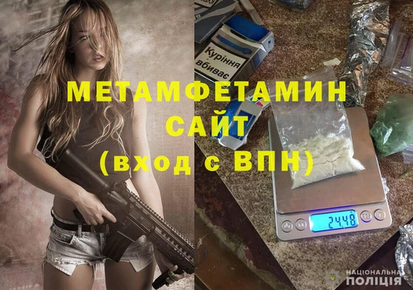 прущие грибы Пролетарск
